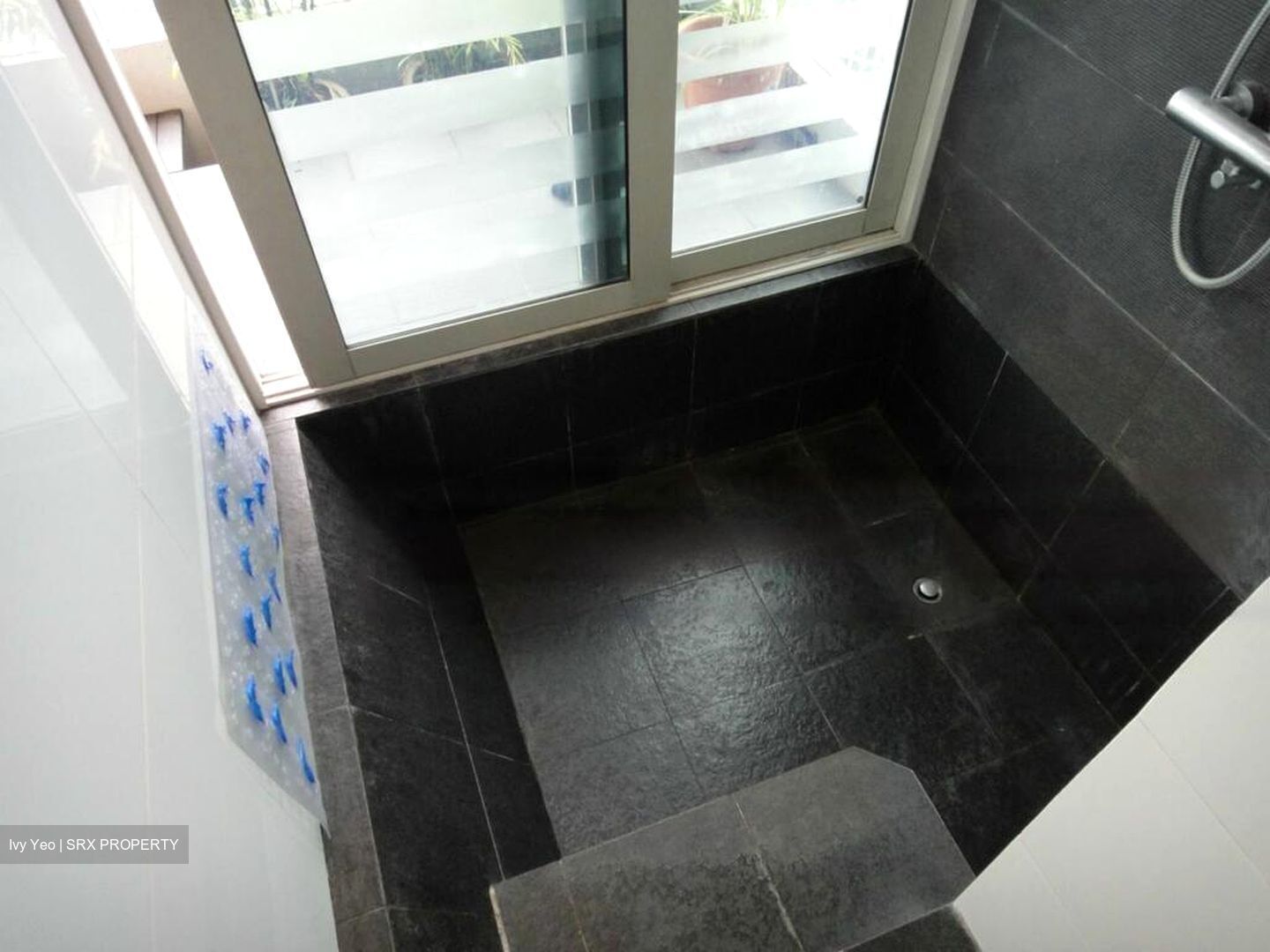 Estique (D15), Apartment #485579581